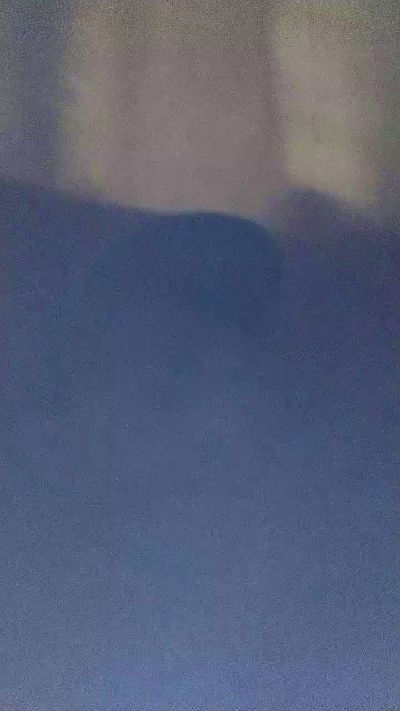Boy288270 from Brazil