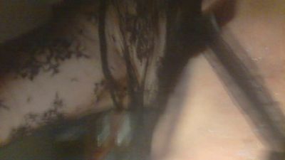 denise_trav from Italy
