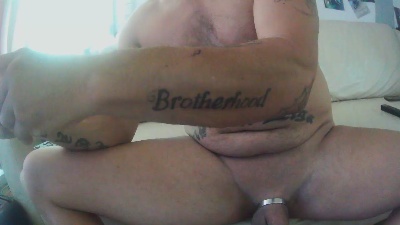 dombull1 from Germany