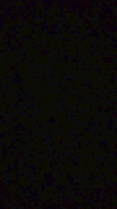 lookn4sumfun81 from United States
